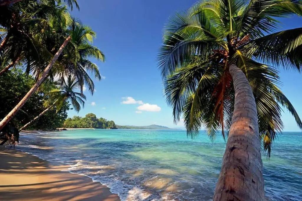 Апарт отель Roca Mar Rocawelch Puerto Viejo Puerto Viejo de Talamanca Экстерьер фото